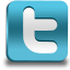 Twitter Icon